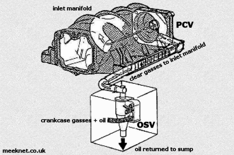 Timm's BMW M60, M62, M62TUB and N62TUB V8 Engines - PCV, PRV and OSV