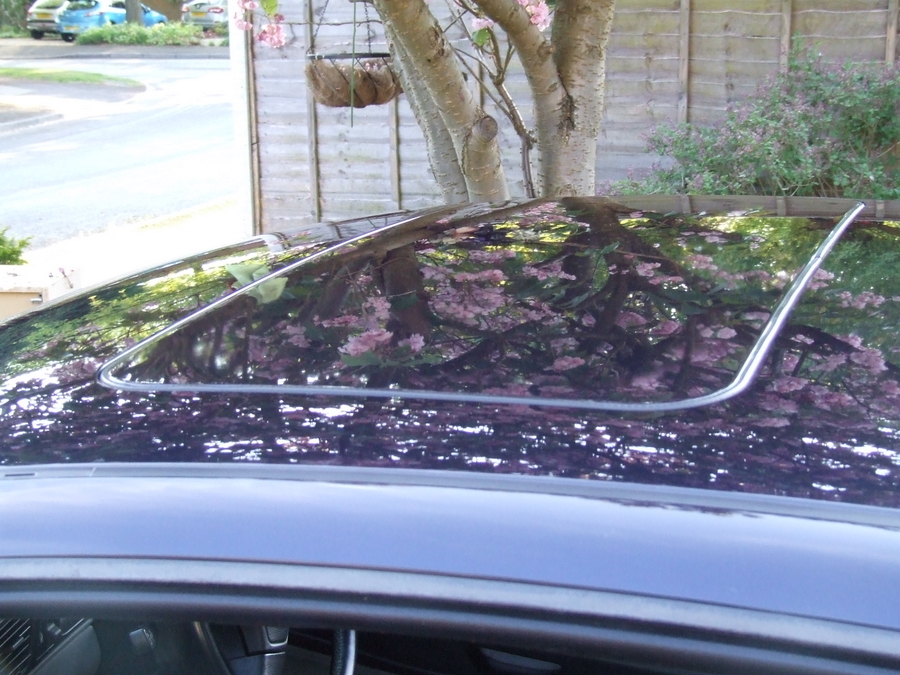 Timm's BMW E31 840ci SPORT 8-Series