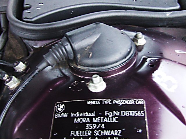 DSCF2197.JPG