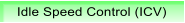 Idle Speed Control (ICV)