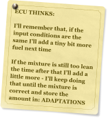 ECU THINKS:  Ill remember that, if the input conditions are the same Ill add a tiny bit more fuel next time   If the mixture is still too lean the time after that Ill add a little more - Ill keep doing that until the mixture is correct and store the amount in: ADAPTATIONS